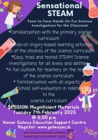 Face-to-Face: Sensational STEAM Series: Hands-On Fun Science Investigations for the Classroom
