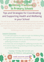 Exploring the Wellbeing Framework In Primary Schools